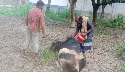 বাঘায় ৩টি ঘর ও আসবাবপত্র পুড়ে ক্ষতি ৫ লাখ টাকা
