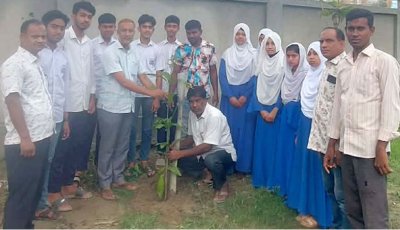 বিশ্বকাপ ফুটবল স্মরণে বৃক্ষরোপণ