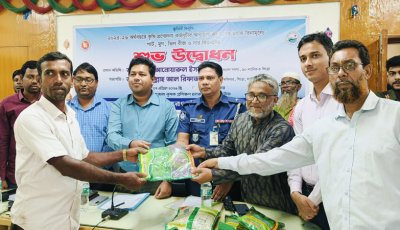 সিংড়ায় বিনামূল্যে বীজ-সার বিতরণ