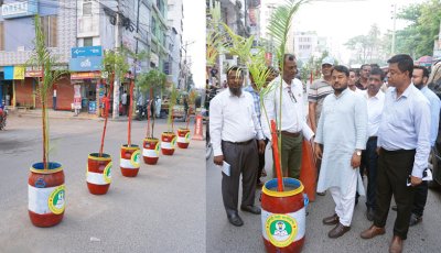 রাজশাহী মহানগরীর সবুজায়ন ও সৌন্দর্য বৃদ্ধির লক্ষ্যে রাসিক প্রশাসকের নতুন উদ্যোগ