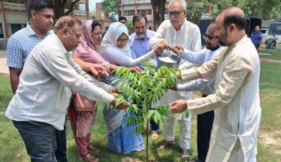 চারঘাটে বৃক্ষরোপণ কর্মসূচির উদ্বোধন