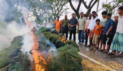 সিংড়ায় ৫৫টি নিষিদ্ধ চায়না দুয়ারি জাল ধ্বংস