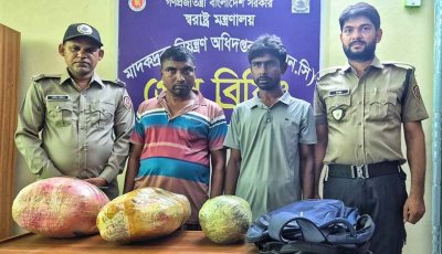 নাটোরে বাসে তল্লাশি করে পাওয় গেলো ১২ কেজি গাঁজা, দুই মাদক কারবারি গ্রেফতার