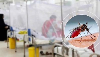 ডেঙ্গুতে আরও ৬ জনের মৃত্যু, হাসপাতালে ১৬০৮