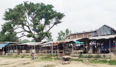 রাণীনগরে শতাধিক বিঘার অর্পিত জমি অবৈধ দখলের বিরুদ্ধে সরকারের মামলা