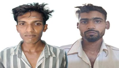 দুই জেলায় সাড়ে ৬১ কেজি গাঁজাসহ পাঁচ মাদক কারবারি গ্রেফতার