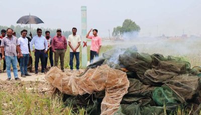সিংড়ায় অর্ধশতাধিক নিষিদ্ধ চায়না দুয়ারি জাল ধ্বংস