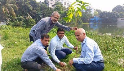 সিরাজগঞ্জে বৃক্ষরোপণ, বিতরণ ৫ শতাধিক গাছ
