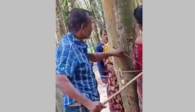 স্ত্রীর বিরুদ্ধে করলা চুরির অভিযোগ, খবর পেয়ে এসে গাছে বেঁধে পেটালেন স্বামী