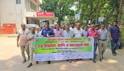সাঁথিয়ায় জাতীয় পুষ্টি সপ্তাহ উপলক্ষে র‌্যালি ও আলোচনা সভা অনুষ্ঠিত