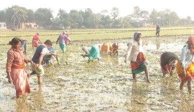 ঈশ্বরদীর হাজারো আদিবাসী এখনো ভাগ্যাহত