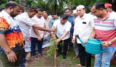 বিএনপির ৪৮তম প্রতিষ্ঠাবার্ষিকী উপলক্ষে রাজশাহীতে বৃক্ষরোপণ কর্মসূচির উদ্বোধন
