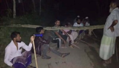 তাড়াশে গরু চুরি ঠেকাতে রাস্তায় গাছ ফেলে রাতভর পাহারা গ্রামবাসীর