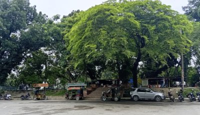 জীববৈচিত্র্য সংরক্ষণ এলাকা ঘোষিত শিমলা পার্ক, এখন প্রয়োজন সকলের দায়িত্বশীল আচরণ