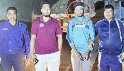পদ্মায় মাটি উত্তোলনের অভিযোগে যুবকের কারাদণ্ড ও জরিমানা