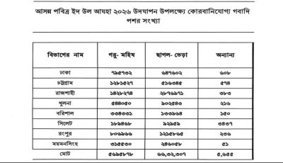দেশে কোরবানিযোগ্য গরু-ছাগল বেশি রাজশাহীতে