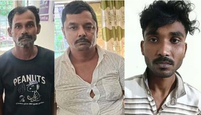 সিরাজগঞ্জে ডাকাতি করা গরুর মাংস যায় ঢাকার সুপার শপে: পুলিশ