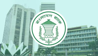 এক বছরে কোটিপতি বেড়েছে ১২ হাজার