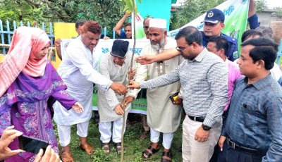 গোমস্তাপুর বৃক্ষরোপণ কর্মসূচির উদ্বোধন