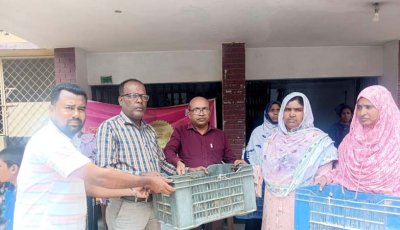 শিবগঞ্জে অসহায় পরিবার পেলো ২০টি হাঁসের বাচ্চা