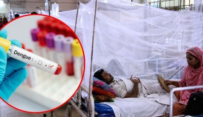 ডেঙ্গুতে ১০ জনের মৃত্যু, হাসপাতালে ভর্তি ১৯৪৩