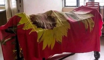 ভোলাহাটে দুপক্ষের সংঘর্ষ একজন নিহত। আটক একজন