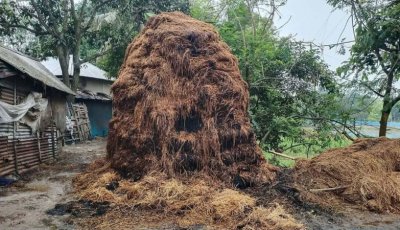 নাটোরে আবারও দুটি গো-খাদ্যের খড়ের গাদায় আগুন