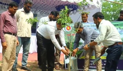 পাবনায় বৃক্ষরোপণ কর্মসূচির উদ্বোধন