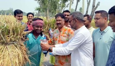বদলগাছীতে কৃষকদের মাঝে খাবার স্যালাইন বিতরণ