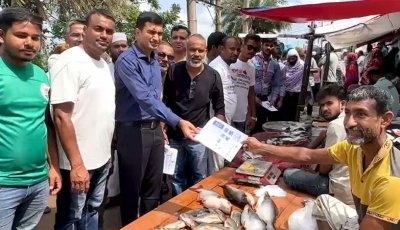 পাবনায় ডেঙ্গু প্রতিরোধে মশক নিধন ও পরিচ্ছন্নতা অভিযান