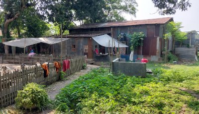 ভাঙ্গুড়া পাটক্রয় কেন্দ্র বন্ধের সুযোগে সরকারি জমি প্রভাবশালীদের দখলে