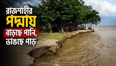 রাজশাহীর পদ্মায় বাড়ছে পানি, ভাঙছে পাড়