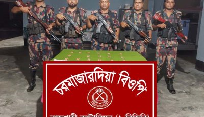 বিজিবি’র অভিযানে ভারতীয় ট্যাপেনট্রাডল ট্যাবলেট জব্দ