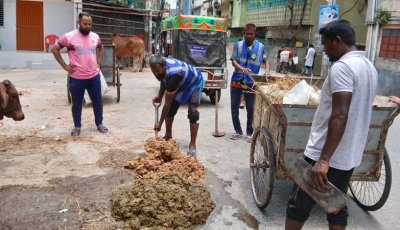 রাসিকের কোরবানির বর্জ্য অপসারণ কার্যক্রম তদারকি করেন প্রশাসক রিটন