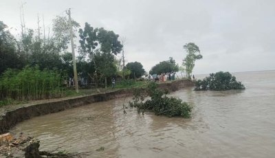 বাঘায় পানি কমতেই পদ্মার ভাঙন, হুমকিতে ২৫ বাড়ি
