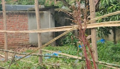 নিয়ামতপুরে মুক্তিযোদ্ধার বাড়িতে অনাধিকার প্রবেশ করে প্রাচীর নির্মাণের চেষ্টা