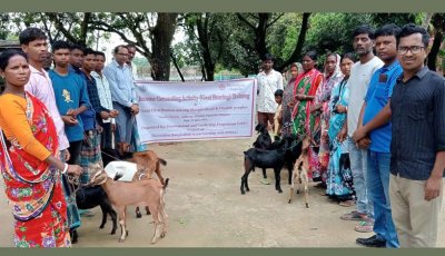 পত্নীতলায় ১০টি ছাগল পেয়ে খুশি অসহায় পরিবার