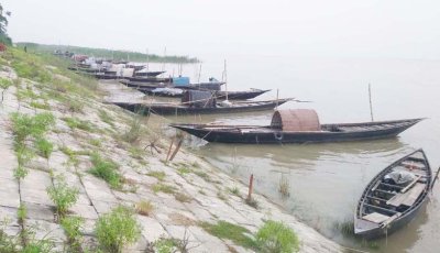 ভরা মৌসুমে পদ্মায় মিলছে না মাছ, হতাশ জেলেরা