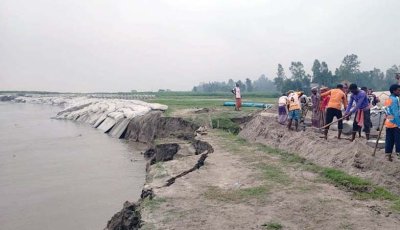 বগুড়ায় ভাঙনে ভয়াবহ রূপ নিয়েছে যমুনা