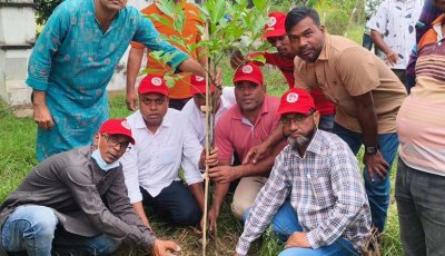 শিবগঞ্জে যুবদলের প্রতিষ্ঠাবার্ষিকীতে রোগীদের সহায়তা, বৃক্ষরোপণ ও পরিচ্ছন্নতা অভিযান