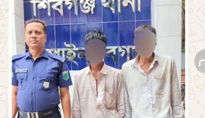 শিবগঞ্জে ইয়াবাসহ দুই ব্যক্তি গ্রেপ্তার