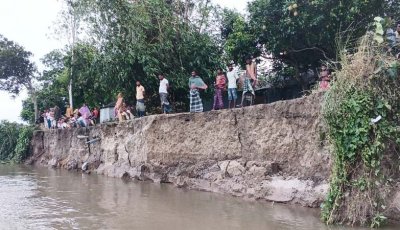 বাঙালি নদীর ভাঙনে বিলুপ্তির পথে হালদারপাড়া!,