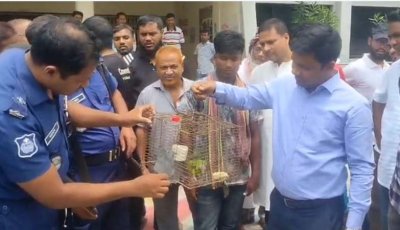 চাঁপাইনবাবগঞ্জে পাখি শিকারীকে জরিমানা, উদ্ধারকৃত টিয়াপাখি অবমুক্ত