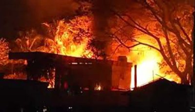 বড়াইগ্রামে অগ্নিকাণ্ডে কৃষকের গরু-ছাগল পুড়ে মৃত্যু