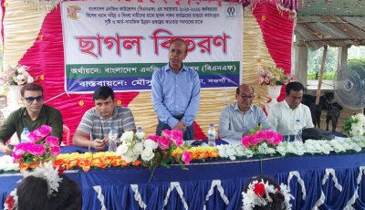 নওগাঁয় বাংলাদেশ এনজিও ফাউন্ডেশনের উদ্যোগে আদিবাসীদের মাঝে ছাগল বিতরণ
