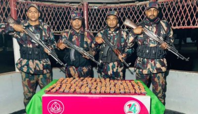 পত্নীতলা বিজিবির অভিযানে বিপুল পরিমাণ ভারতীয় মাদকদ্রব্য উদ্ধার