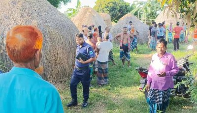 গভীর রাতে ১০টি ঘোড়া জবাই, ফেলে রাখা হলো তিনটি