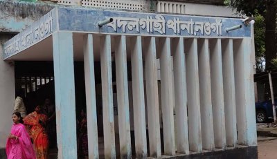 বদলগাছীতে শিয়ালের ধাওয়া খেয়ে পড়ে যুবক নিহত