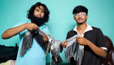 পুঠিয়ায় আহত শামুখখোল পাখি উদ্ধার