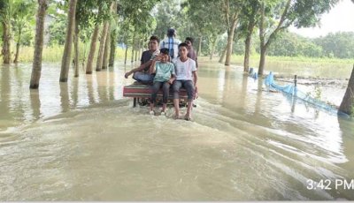 চাঁপাইনবাবগঞ্জে পদ্মার পানি কমেছে ৬ সেন্টিমিটার  নিম্নাঞ্চলের পানিতে নিমজ্জিত মানুষজনের দুর্ভোগ চরমে